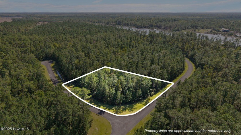 Build your dream coastal oasis on this beautiful .84-acre wooded - Beach Lot for sale in Merritt, North Carolina on Beachhouse.com