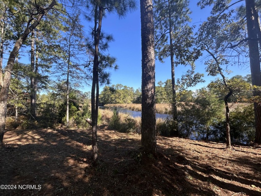 Discover serenity along the banks of Tarkiln Creek with this - Beach Lot for sale in Oriental, North Carolina on Beachhouse.com