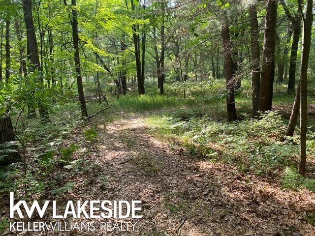 Beautiful wooded lot close to the city of Caseville. Access - Beach Lot for sale in Caseville, Michigan on Beachhouse.com