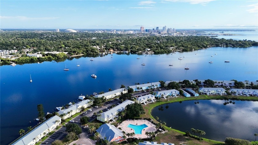 A true tropical paradise with a stunning water view! This condo - Beach Condo for sale in St. Petersburg, Florida on Beachhouse.com