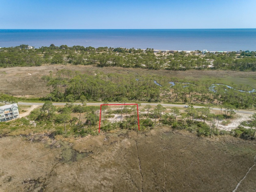 Private gated community, wooded lot in a natural setting. Hidden - Beach Lot for sale in Alligator Point, Florida on Beachhouse.com