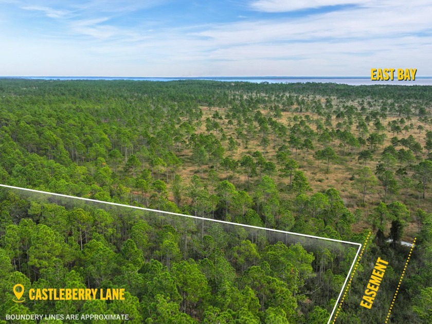 Nestled on a private, one-acre lot adjoining protected marshland - Beach Lot for sale in Milton, Florida on Beachhouse.com