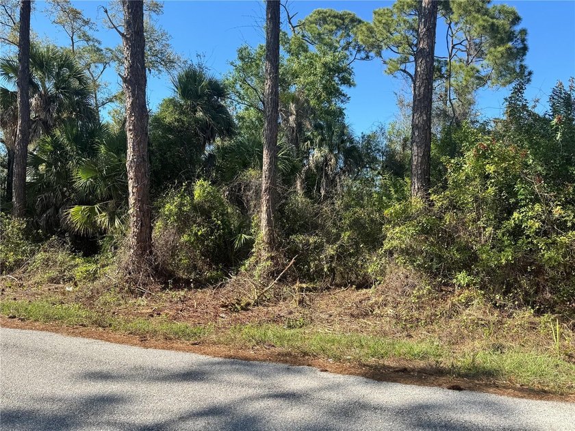 Rare Commercial Opportunity - Two Adjacent CG Zoned Lots Near - Beach Lot for sale in Port Charlotte, Florida on Beachhouse.com