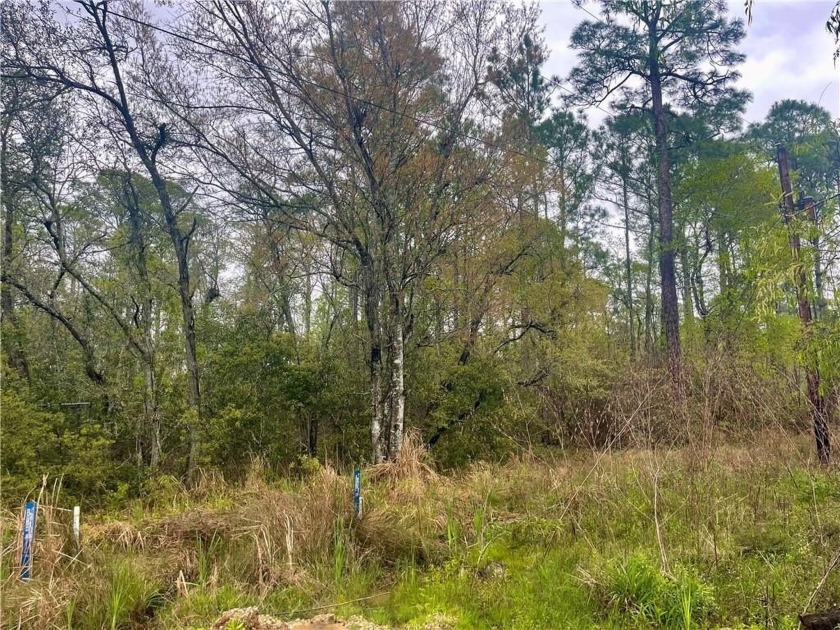 5 undeveloped flat lots in Coden, Alabama! Build a house on all - Beach Lot for sale in Coden, Alabama on Beachhouse.com