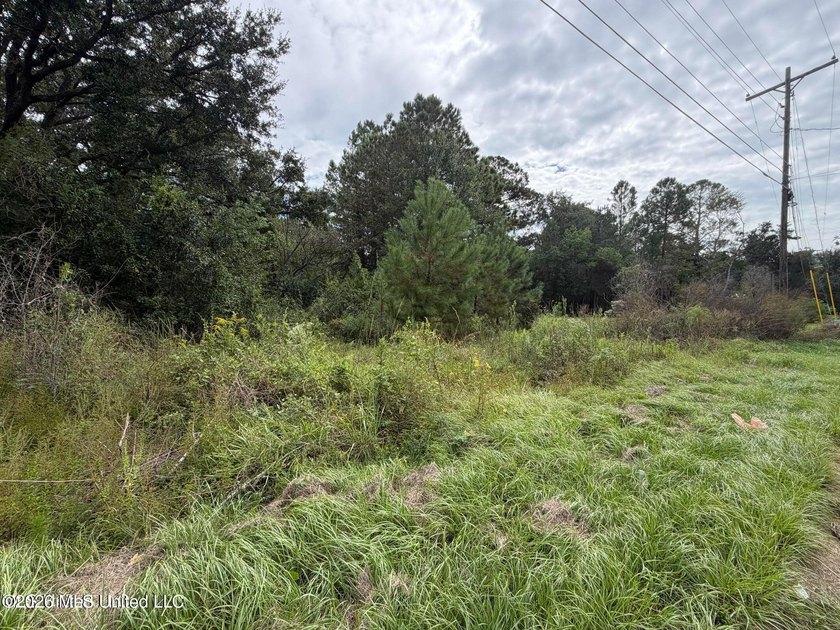If you are coming from Washington Avenue, turn on Lemoyne and - Beach Lot for sale in Biloxi, Mississippi on Beachhouse.com