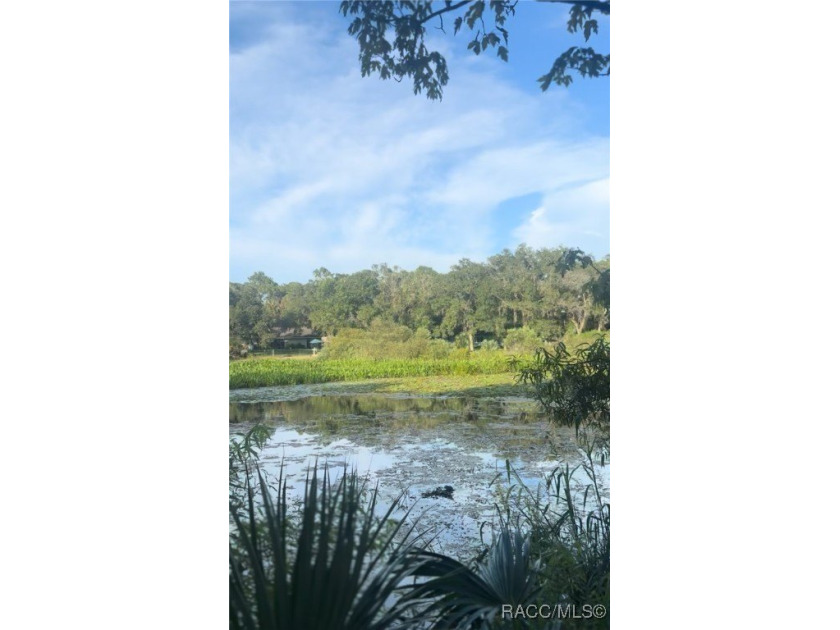 Welcome to Cedar Lake Estates - A Hidden Gem in Crystal River! - Beach Lot for sale in Crystal River, Florida on Beachhouse.com