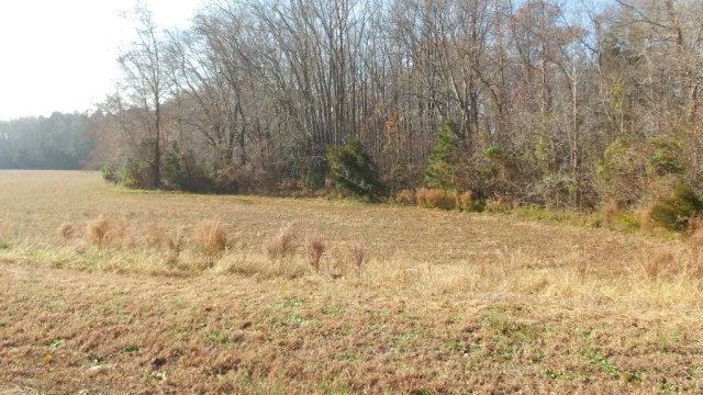 Out in the beautiful Northampton County countryside, a six acre - Beach Acreage for sale in Jamesville, Virginia on Beachhouse.com