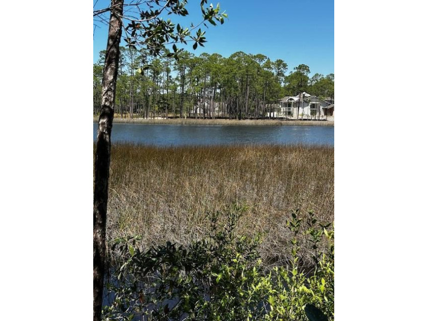 Discover an extraordinary opportunity to build your dream - Beach Lot for sale in Panama City Beach, Florida on Beachhouse.com