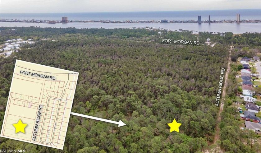 ATTENTION BUILDERS  INVESTORS! Don't miss this 8 acres, only 4 - Beach Acreage for sale in Gulf Shores, Alabama on Beachhouse.com