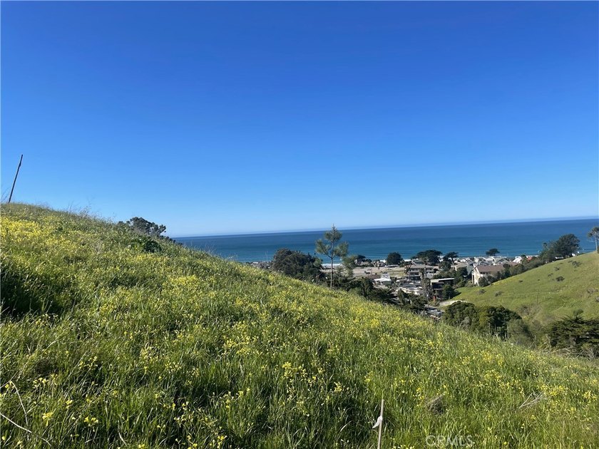 OCEAN VIEWS with possible SELLER FINANCING. Give the San Luis - Beach Lot for sale in Cayucos, California on Beachhouse.com