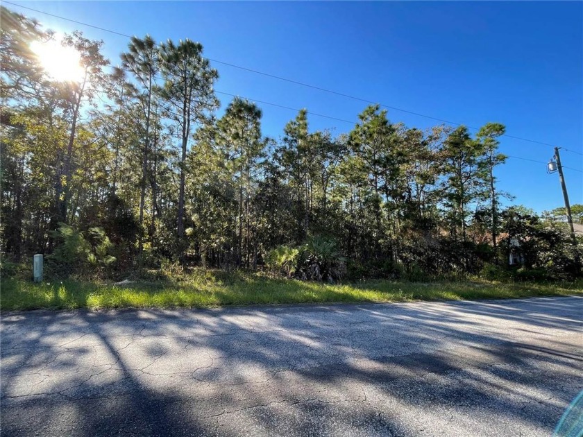 Are you looking for the perfect piece of land to build that - Beach Lot for sale in Homosassa, Florida on Beachhouse.com