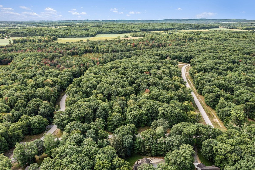 Wooded building site located between Silver Lake and Pentwater - Beach Lot for sale in Mears, Michigan on Beachhouse.com