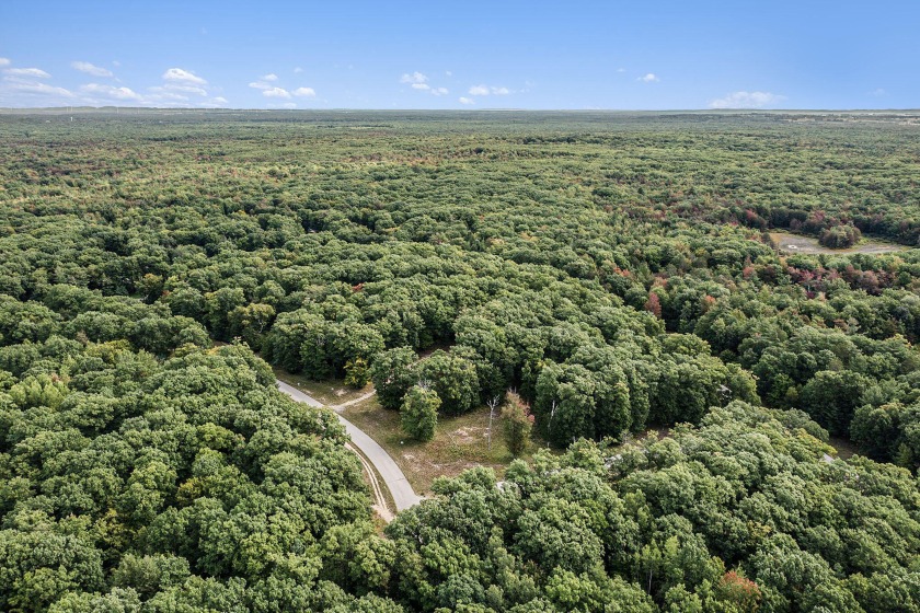 Wooded building site located between Silver Lake and Pentwater - Beach Lot for sale in Mears, Michigan on Beachhouse.com