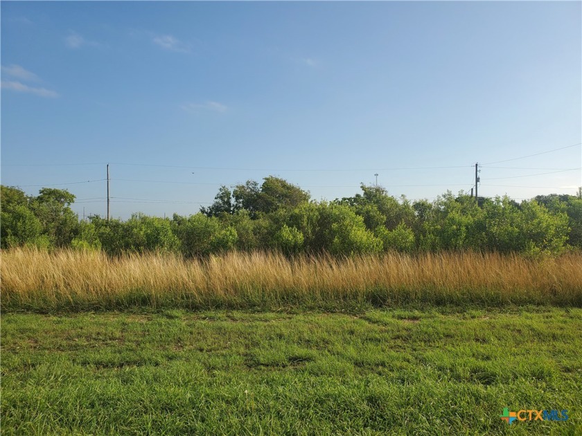 Interior lot is 50'x142' w/8' rear alley. Access is on - Beach Lot for sale in Seadrift, Texas on Beachhouse.com