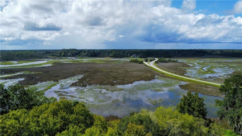 Check out this little slice of paradise! Adorable marsh front - Beach Lot for sale in Townsend, Georgia on Beachhouse.com