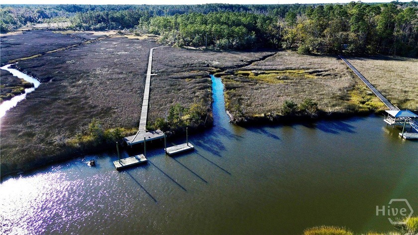 Rare opportunity to own two adjoining residential waterfront - Beach Acreage for sale in Townsend, Georgia on Beachhouse.com