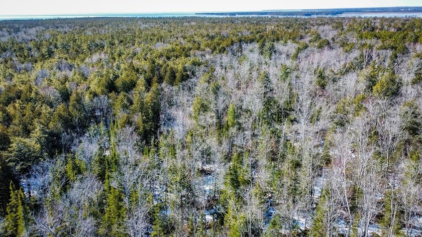 Beautifully wooded 5-acre home site just north of Baileys Harbor - Beach Acreage for sale in Baileys Harbor, Wisconsin on Beachhouse.com