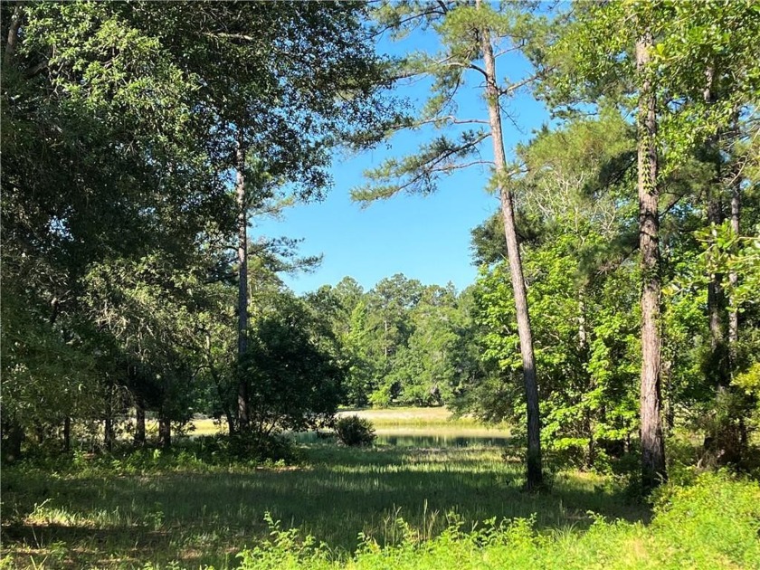 Come see what *Bluff Life* is all about! This homesite is over - Beach Lot for sale in Townsend, Georgia on Beachhouse.com