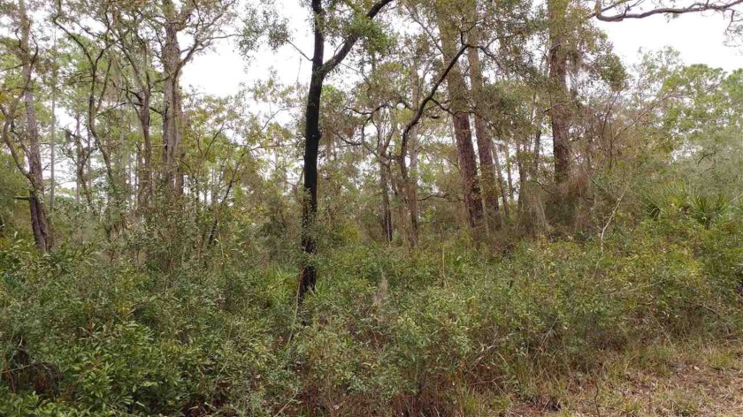 Build your coastal home on this wooded lot zoned for homes only - Beach Lot for sale in Ochlockonee Bay, Florida on Beachhouse.com