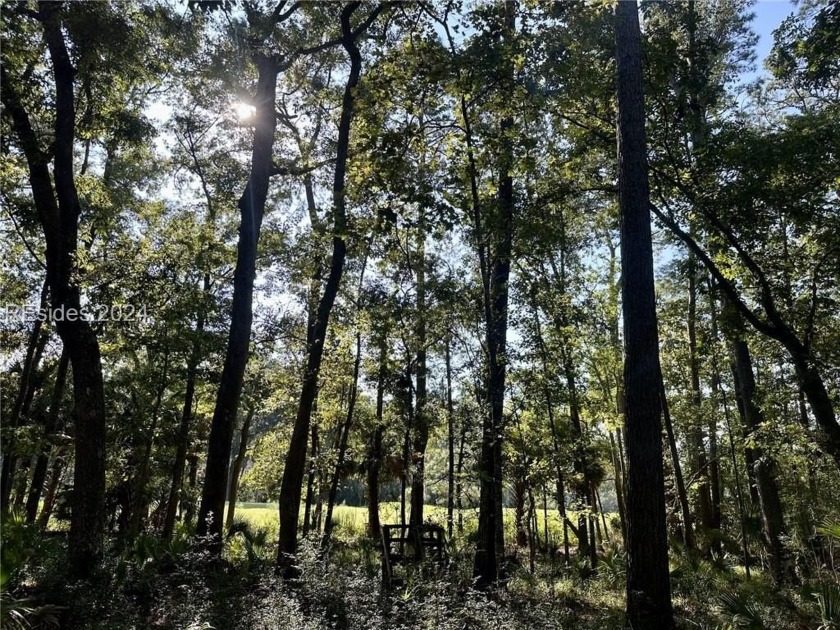 This .73 corner homesite is on a private cul-de-sac. Views of - Beach Lot for sale in Okatie, South Carolina on Beachhouse.com