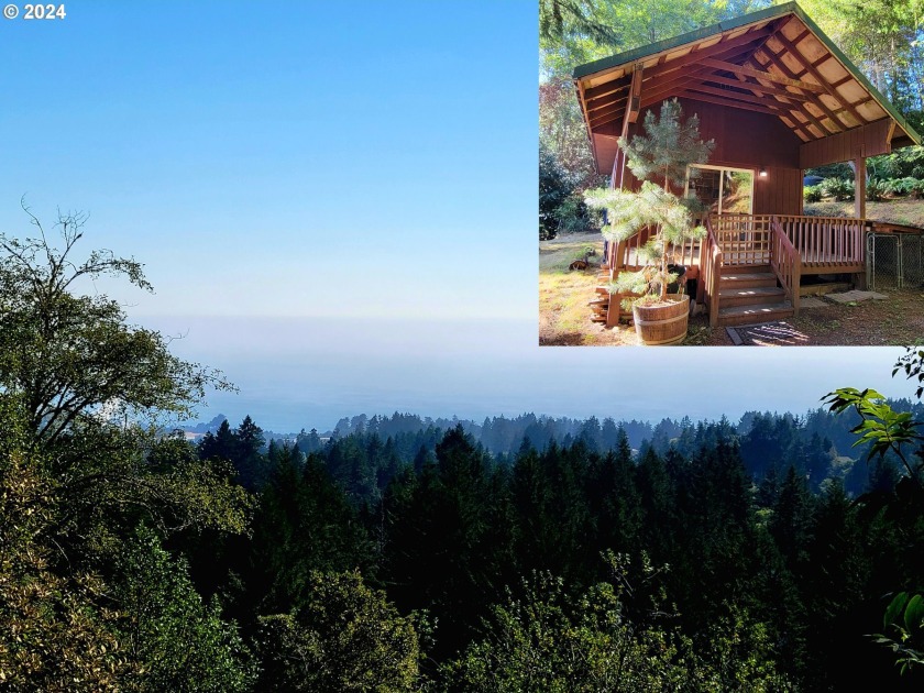 Cute lil Cabin in the Woods! Private and with a view of the - Beach Home for sale in Brookings, Oregon on Beachhouse.com