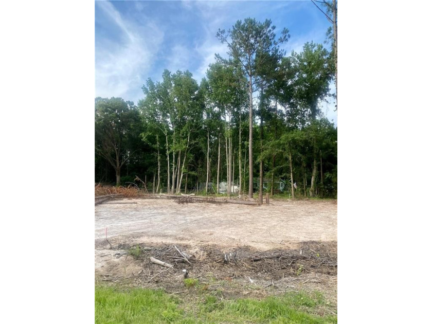 THESE 3 PARCELS HAVE SO MUCH POTENTIAL, totaling 1.14 acres!! - Beach Lot for sale in Brunswick, Georgia on Beachhouse.com