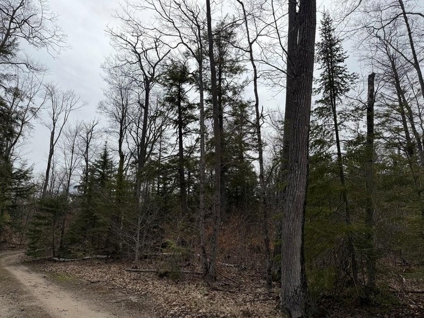 Tucked near the end of a quiet cul-de-sac, this 3/4 acre wooded - Beach Lot for sale in Gills Rock, Wisconsin on Beachhouse.com