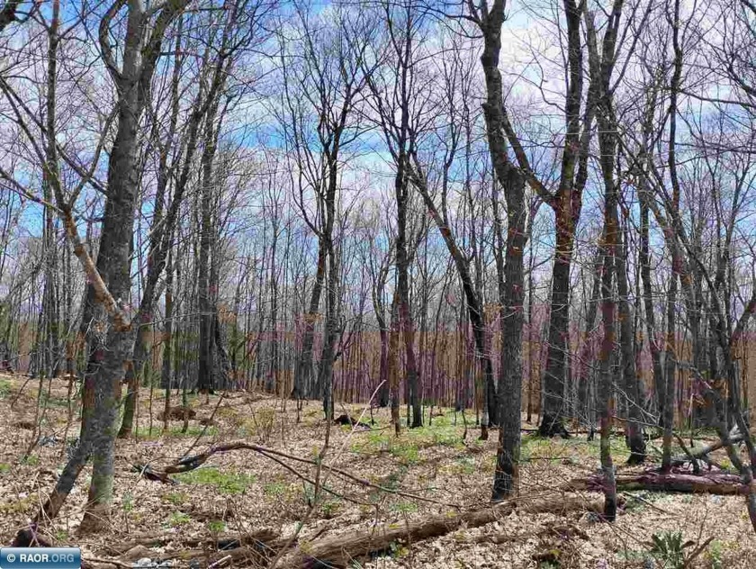 Beautiful one of kind homesite! 30+ acres of hardwood maple - Beach Acreage for sale in Lutsen, Minnesota on Beachhouse.com