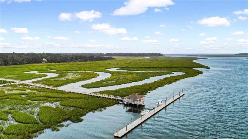 Cooper's Point provides access to a community deep water dock - Beach Lot for sale in Townsend, Georgia on Beachhouse.com