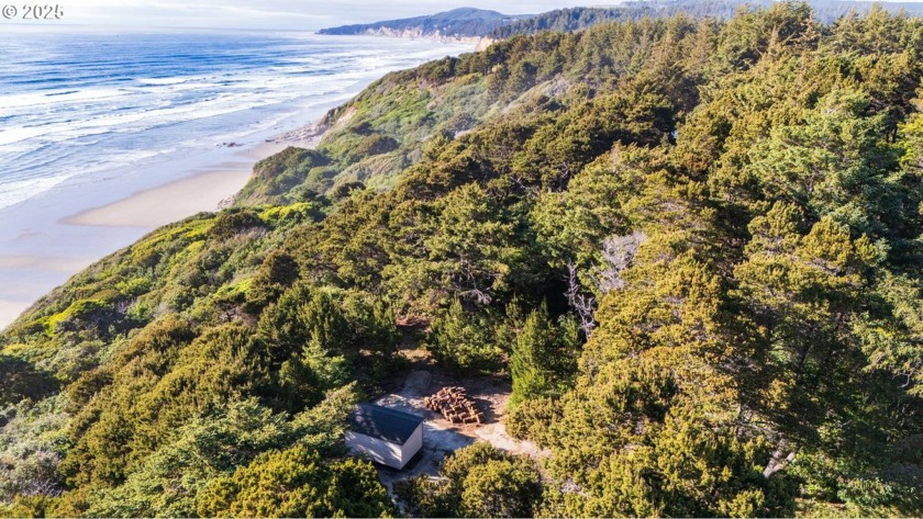 Incredible opportunity to develop a private oceanfront estate on - Beach Lot for sale in Bandon, Oregon on Beachhouse.com