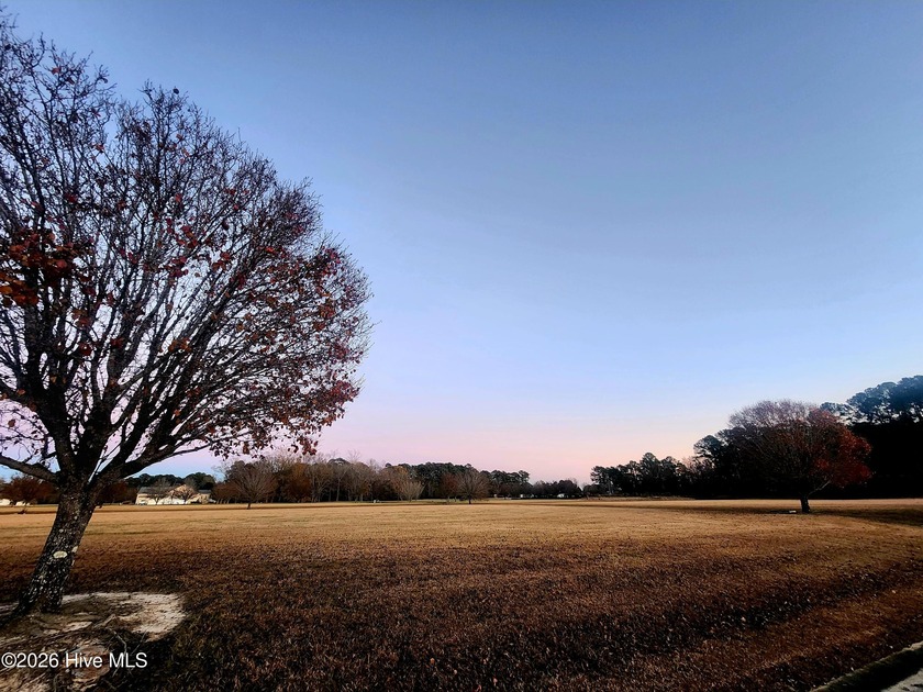 ALL REASONABLE OFFERS CONSIDERED!!! Beautiful 0.7-acre cleared - Beach Lot for sale in Arapahoe, North Carolina on Beachhouse.com