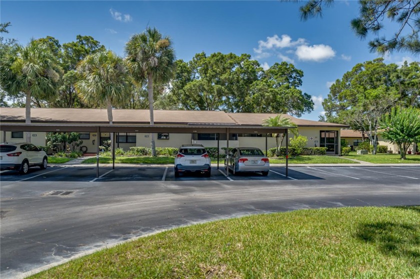 THIS PROPERTY WAS HIGH + DRY...NO FLOODING...WHETHER YOU ARE - Beach Condo for sale in Largo, Florida on Beachhouse.com