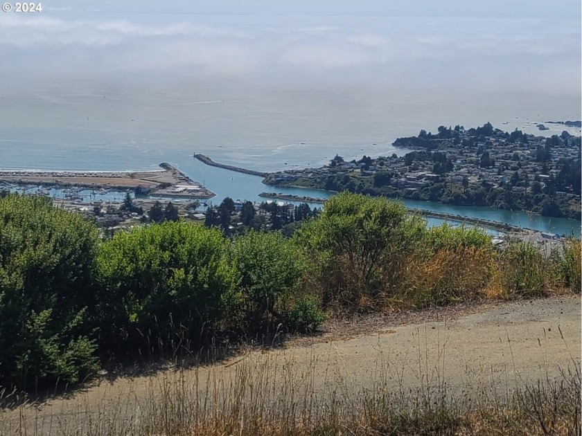 If you're in search of a property with a spectacular view, look - Beach Lot for sale in Brookings, Oregon on Beachhouse.com