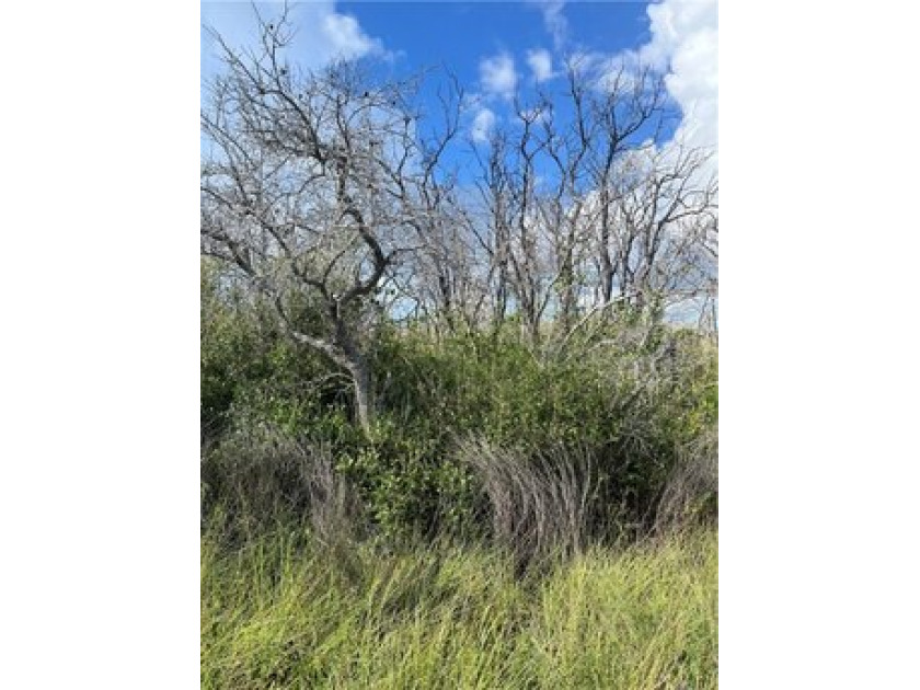 Take advantage of this opportunity to own property in a - Beach Lot for sale in Aransas Pass, Texas on Beachhouse.com