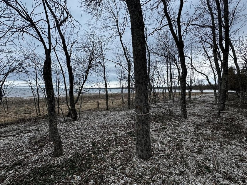 Discover an incredible opportunity to own an affordable - Beach Lot for sale in Washington Island, Wisconsin on Beachhouse.com