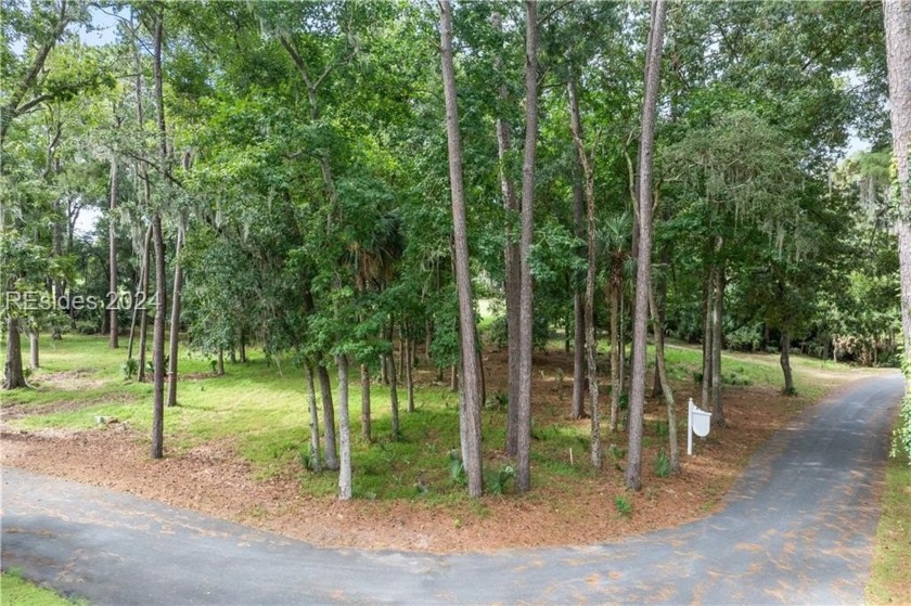 Unbeatable price and location! This approximate 1/2 acre lot is - Beach Lot for sale in Daufuskie Island, South Carolina on Beachhouse.com