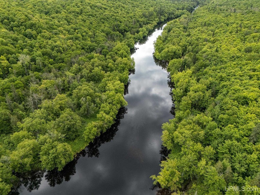 As remote as it gets, this 34-acre parcel features 1320' of - Beach Acreage for sale in Carp Lake, Michigan on Beachhouse.com