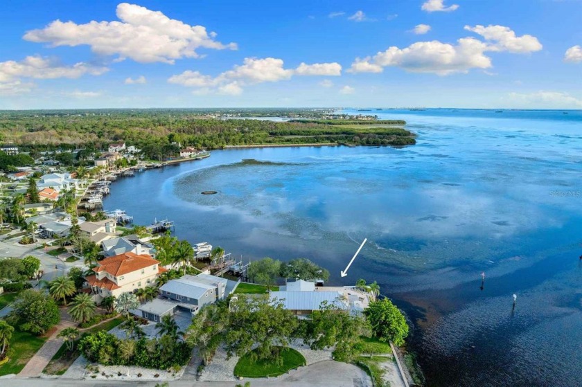 Relax and indulge in the quintessential Florida lifestyle in - Beach Home for sale in Palm Harbor, Florida on Beachhouse.com