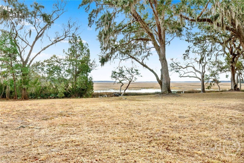 Build your coastal dream home on this beautiful marsh-front lot - Beach Lot for sale in Townsend, Georgia on Beachhouse.com