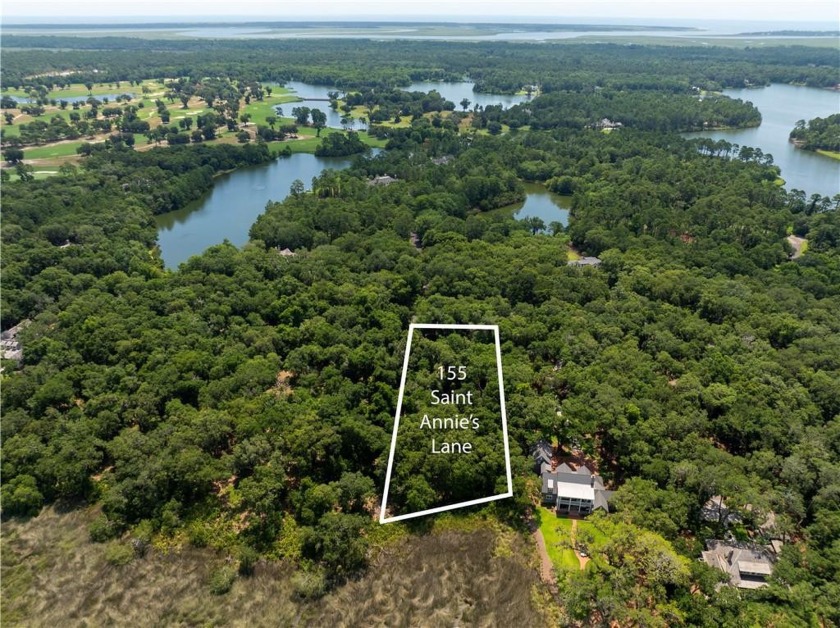 BEAUTIFUL LONG WESTERN MARSH VIEWS & a large canopy of LIVE - Beach Lot for sale in Saint Simons, Georgia on Beachhouse.com