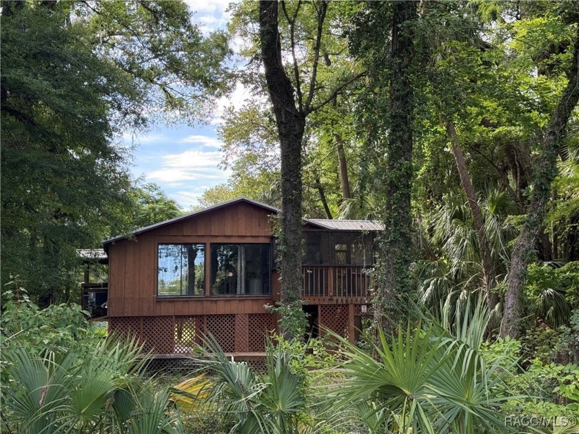Your Elevated Sanctuary on the Withlacoochee River - Peace - Beach Home for sale in Yankeetown, Florida on Beachhouse.com