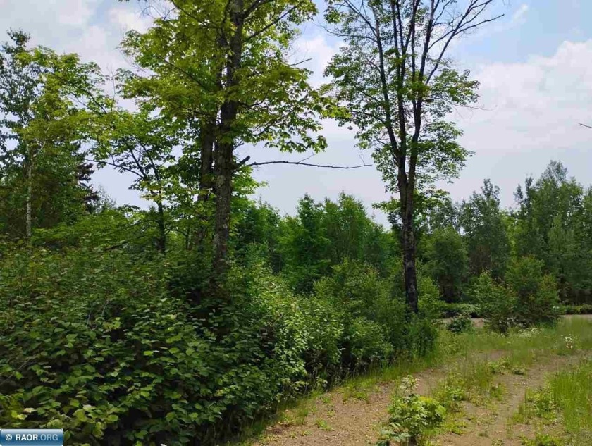 Prime building parcel on Boulder Point Road, minutes from the - Beach Acreage for sale in Lutsen, Minnesota on Beachhouse.com