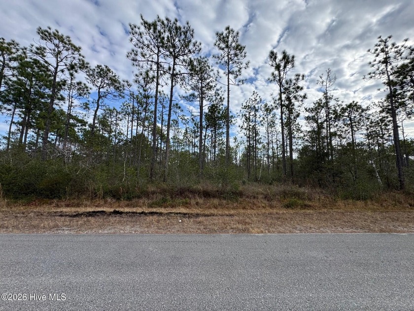 Take a look at this .24-acre wooded lot in the community of - Beach Lot for sale in Southport, North Carolina on Beachhouse.com