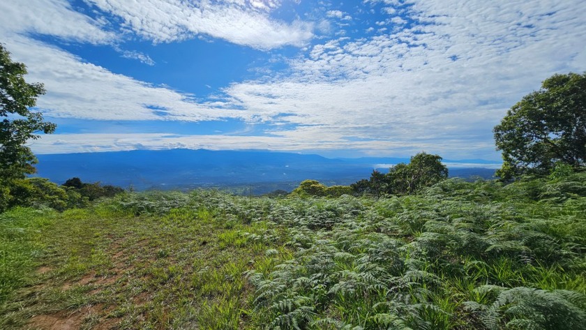 Experience the unparalleled nature paradise in Altos de Ojo - Beach Commercial for sale in Perez Zeldedon,  on Beachhouse.com