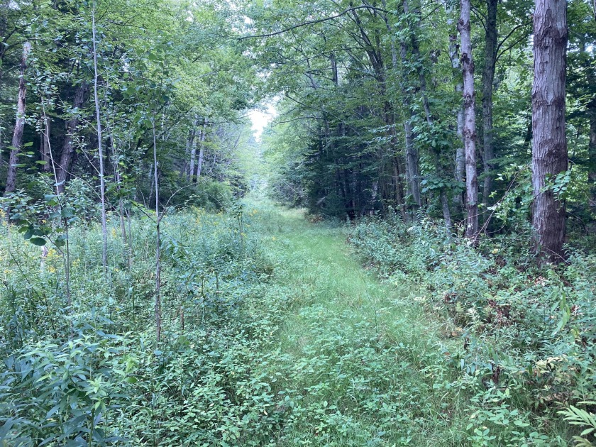 This lovely 1.8 acre parcel is nestled off of Birchmere Road in - Beach Lot for sale in Harpswell, Maine on Beachhouse.com