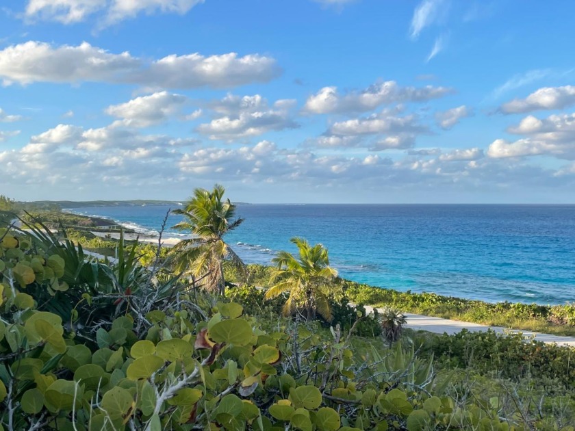 Elevated oceanview lot located in the Stella Maris Residential - Beach Lot for sale in Long Island, Bahamas on Beachhouse.com
