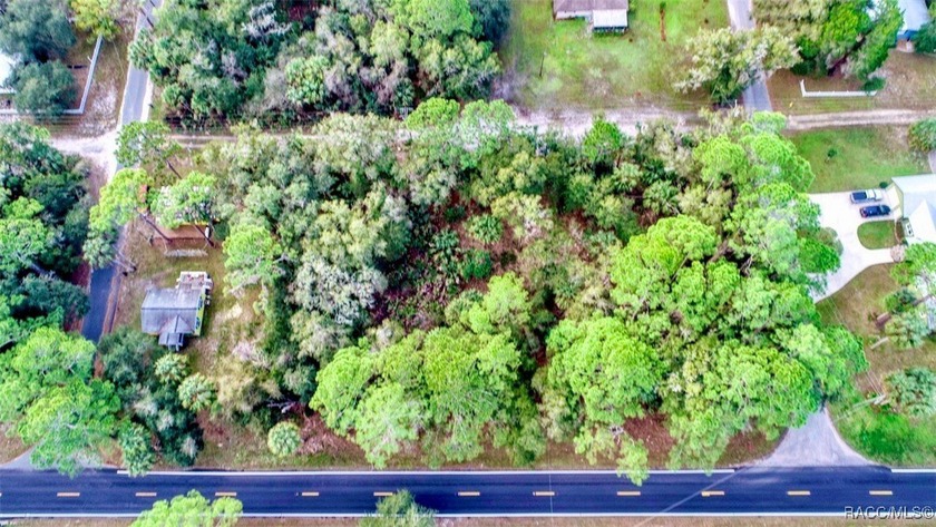 3 lots along hwy 40 and 53rd St. Take a leisurely walk down to - Beach Lot for sale in Yankeetown, Florida on Beachhouse.com