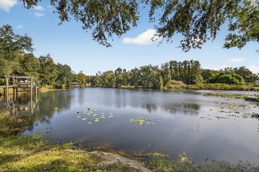 Don't miss this RARE opportunity to own the last buildable lot - Beach Lot for sale in Land O Lakes, Florida on Beachhouse.com