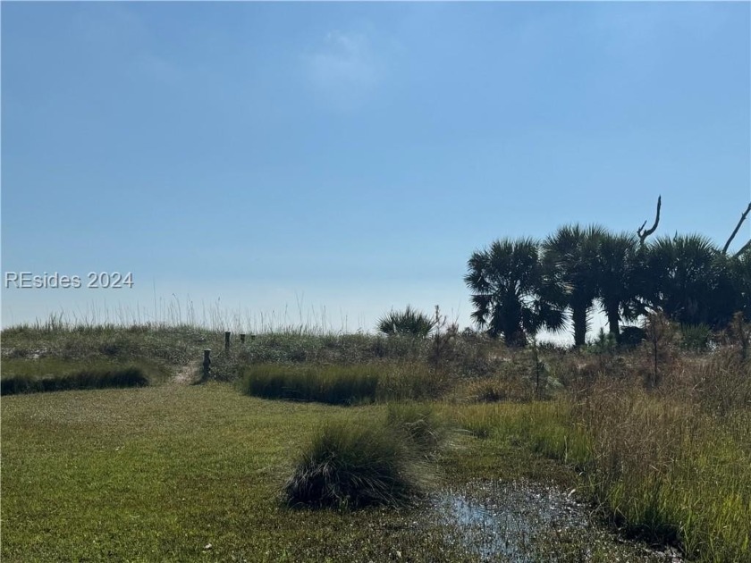 Beautiful beach front property on secluded Daufuskie Island! - Beach Lot for sale in Daufuskie Island, South Carolina on Beachhouse.com