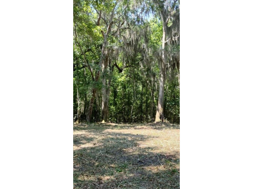 Private, peaceful homesite awaits you.  As quiet as you'll find - Beach Lot for sale in Townsend, Georgia on Beachhouse.com